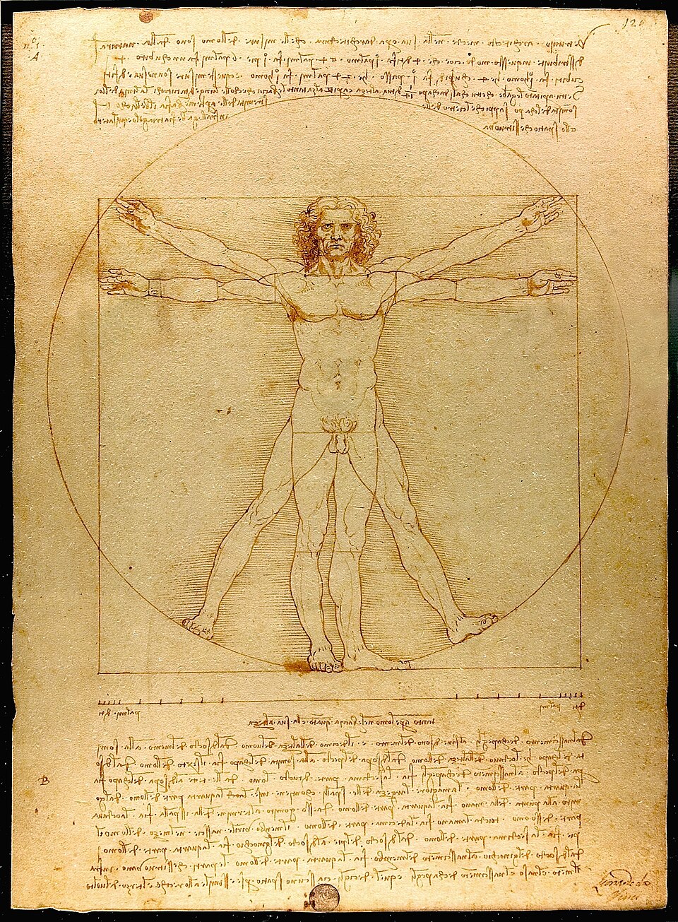 Homem Vitruviano, Leonardo da Vinci